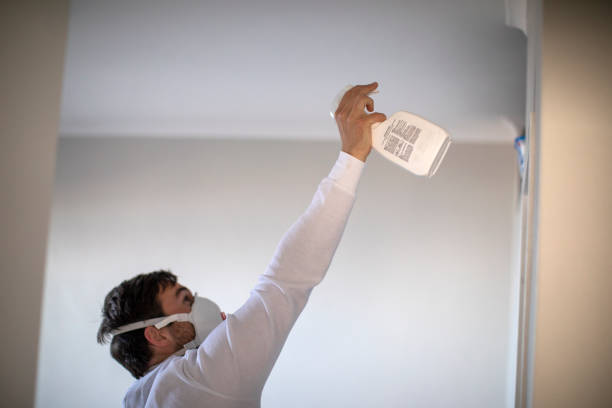 Best Office Mold Removal Services  in Noblesville, IN